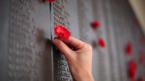 A wall to place poppy flowers at the Australian War Memorial