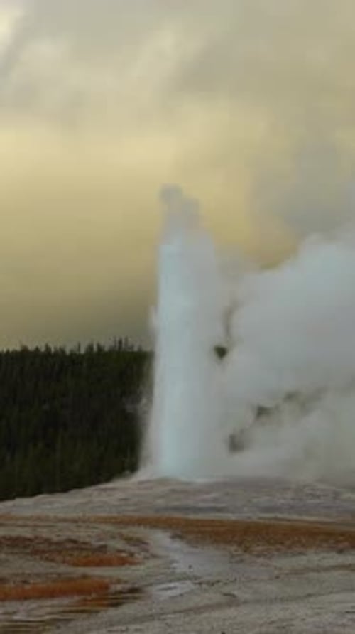 Old Faithful Geyser Yellowstone National Park Vertical Video