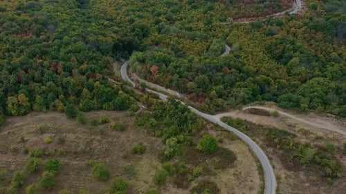 Survoler une route bouclée déserte dans les montagnes entourée d'arbres colorés