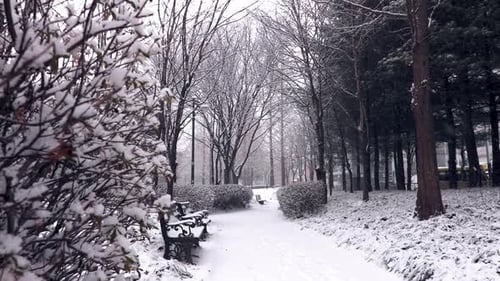 Un chemin enneigé à travers un parc