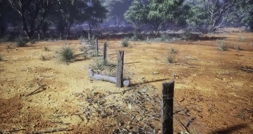 Arid Landscape with Weathered Posts Under Bright Sunlight