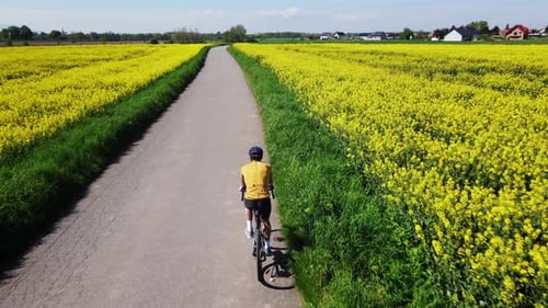 Cyclist Riding Bicycle on Countryside Road Near Rapeseed Fields