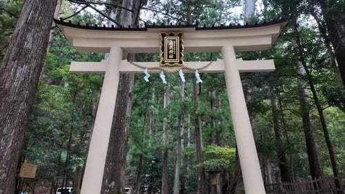 Sacred White Torii Gate Surrounded By Lush Forest in Japan