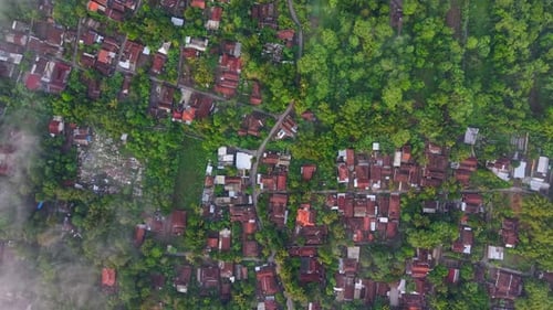 Aerial view of houses and lush trees, Indonesia.