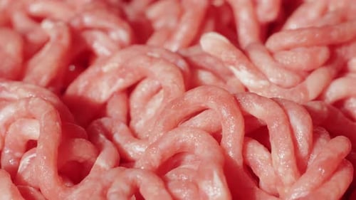 Fresh Pork and Beef Minced Meat Macro Close Up Chicken Turkey Mix Burger Meat