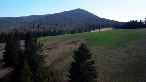 Scenic Mountainside Meadow with Forest Aerial View