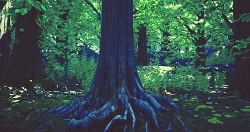 Lush Green Forest with Detailed Tree Roots in Natural Landscape Setting