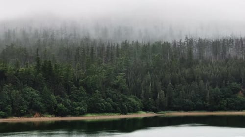 Foggy Forest on the Shore of a Mountain Lake in Summer
