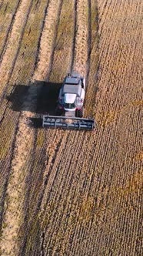 Luftaufnahme: Mähdrescher erntet reifen Mais auf dem Erntefeld