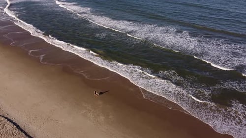 Aerial tracking shot of woman walking with dog along coastal sandy beach with ocean waves in summer