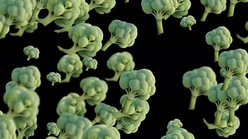 Healthy Green Broccoli Falling Falling On Black Background. Broccoli Falling Animation Background.