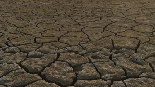 Cracked Shore by Drought of a Lake