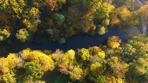 Luftflug über Bäume mit gelben Blättern, See und Architektur im Herbst