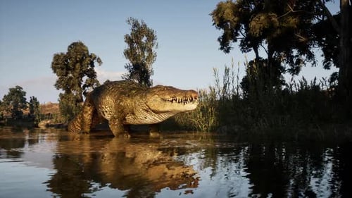 Realistic 3D Animated Crocodile in Natural River Environment