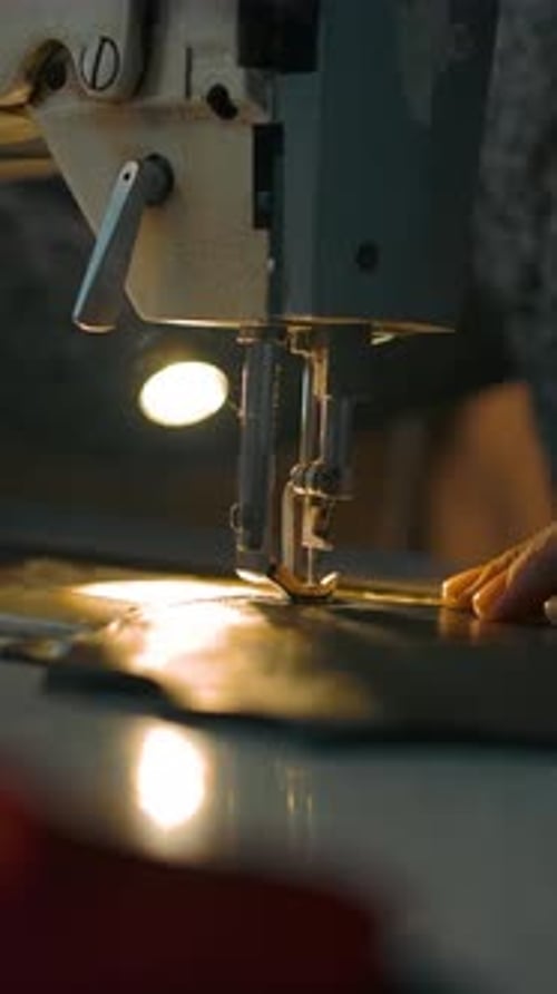 Vertical of Working Sewing Machine Presser Foot Stitching