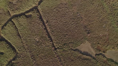 Marshes and low tide at sunset. Aerial overhead view flying over the marshes. Andalusia. Spain.