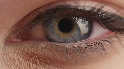 Close-up focusing shot of a woman's blue eye from the front with light make-up.