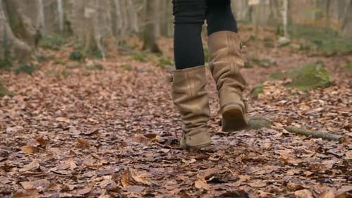 Woman in tall brown boots walks on autumn forest leaves, Slowmo with Copy Space