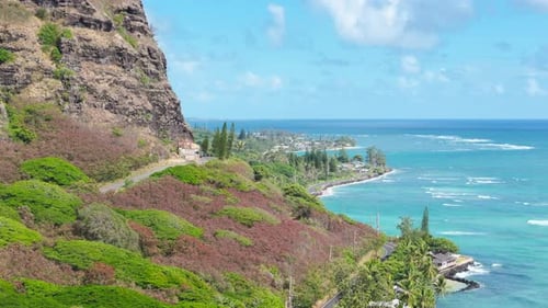 Lush Green Hillside By the Ocean