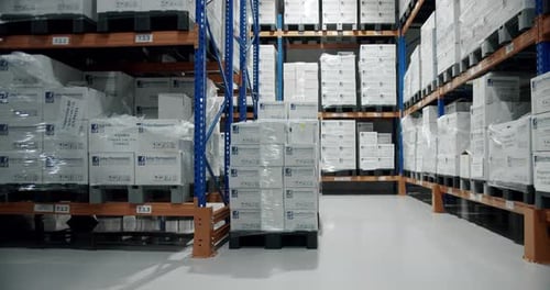 Warehouse with Cardboard Boxes Inside on Pallets Racks Logistic Center