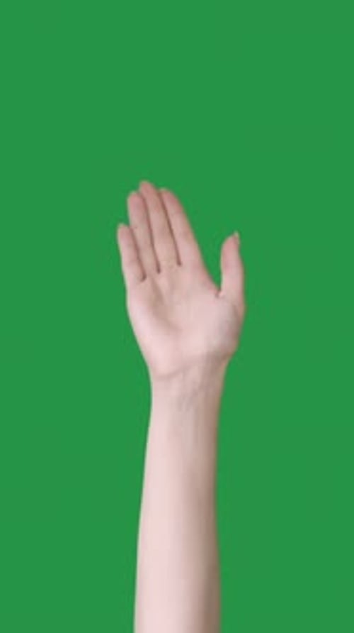 Waving Hand on Green Screen