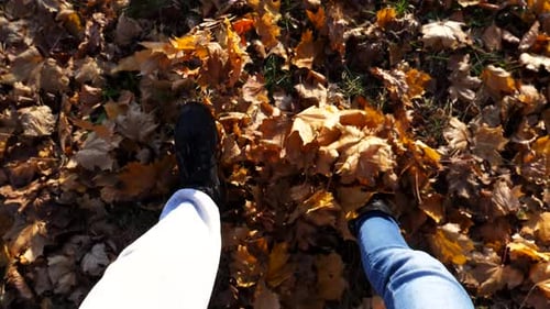 Standpunkt eines jungen Paares, das zusammen auf Ahornblättern im Wald tritt, männliche und weibliche Beine in