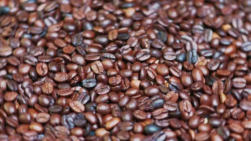 Close-up of Roasted Brown Coffee Beans Rotating. Top View