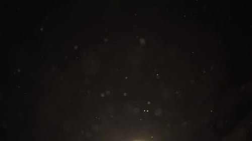 Schnee fällt im dunklen Winterhintergrund Es schneit Video-Overlay