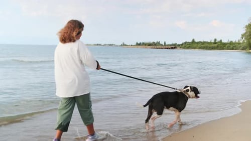 Woman and Dog Walk on a Sandy Beach