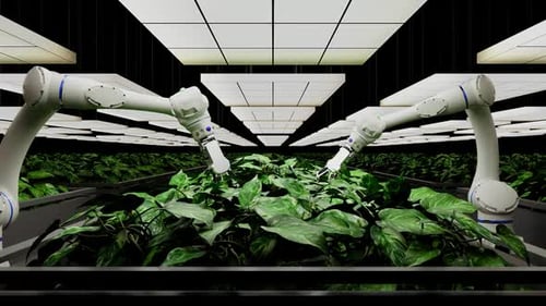 Robotic Arms Harvesting Plants in Modern Vertical Farm Animation