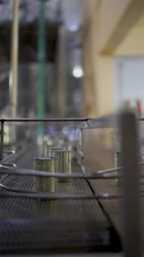 Line production of canned fish factory.