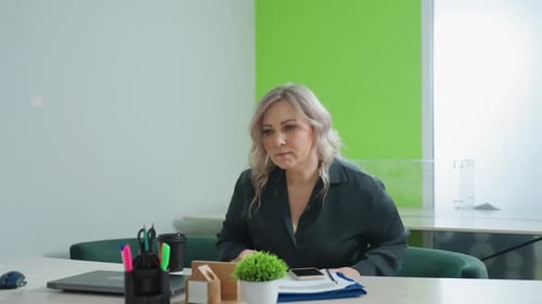 Woman Working at Desk in Modern Office