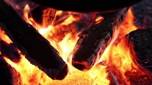 Close-Up of Burning Wood in Campfire Flames