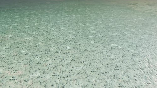 White Shore Of The Sea