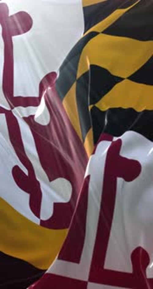 Maryland State Flag Waving in Sunlight
