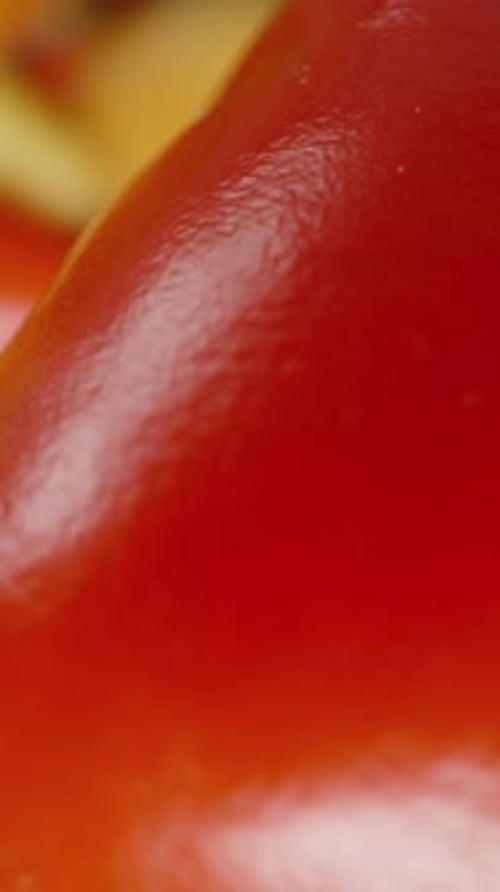 Vertical video. A red rosemary mini chili pepper rotates and falls among the other assorted colored