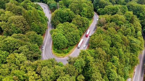 Winding road through lush green forest. Two trucks navigate a curvy road surrounded