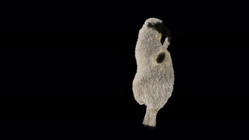 Dancing Sheep Performing Fun Celebration Loop Animation