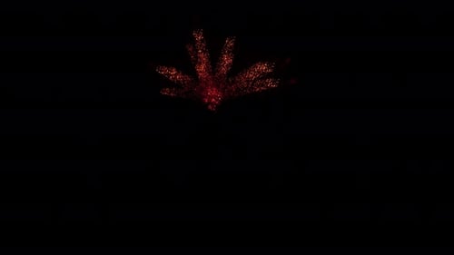Aerial Sparks Explosion (58)