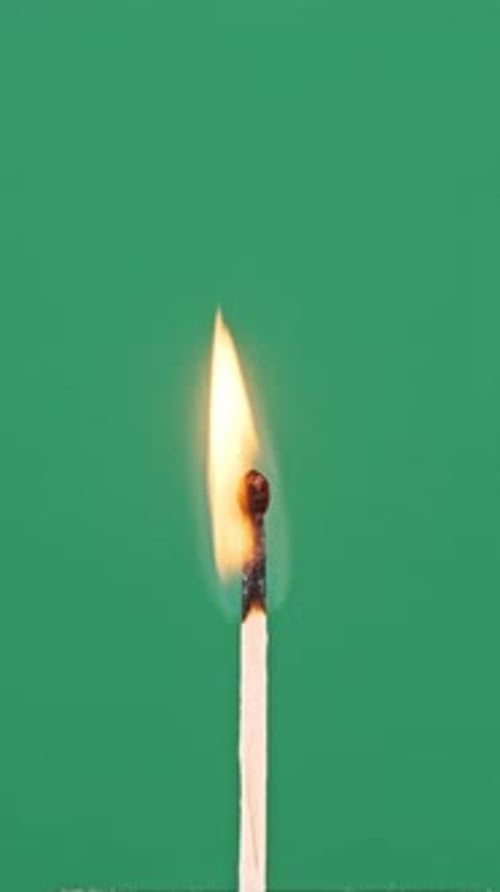 Vertical One Match Stick Ignites and Burns on a Green Background CloseUp