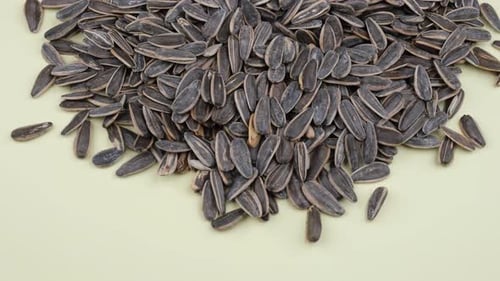 Pile of Sunflower Seeds on Green Background