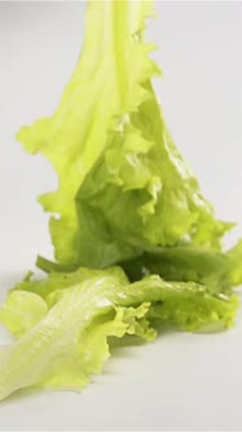 Fresh Green Lettuce Leaves Falling on White Surface