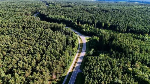 Forest road aerial curve. A winding forest road cutting through dense green
