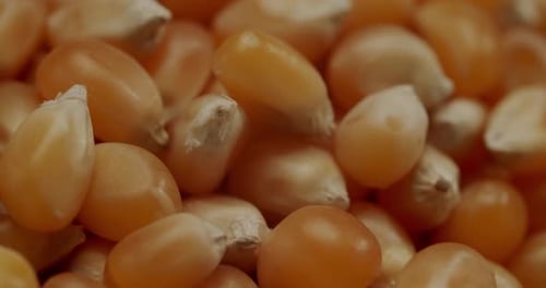 Grains de maïs soufflé non cuits qui tournent dans un bol