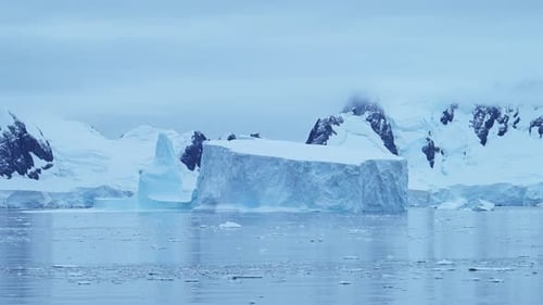 Riesige antarktische Eisberge treiben durch die ruhigen gefrorenen Gewässer des Polarmeers