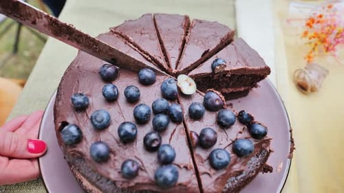 Person Slices Chocolate Blueberry Cake for Party