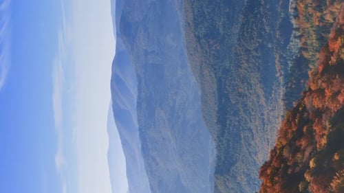 Vertical Video Flight Over Mountains with Autumn Forests Aerial View