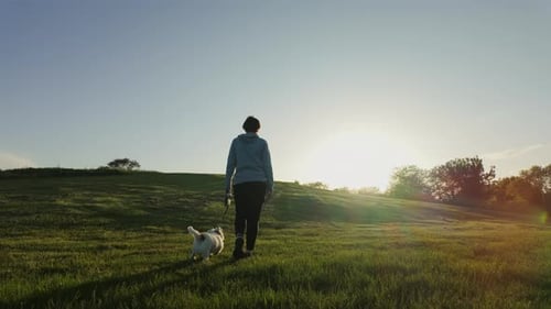 Back View of Woman Walking the Dog in the Park Travel Concept Wide Footage on Sunset Time Slow