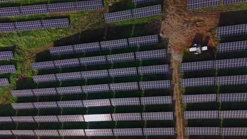 Rows of solar panels cover a green field, capturing sunlight for energy