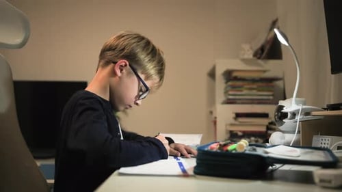 Boy with Glasses Doing Homework at Desk